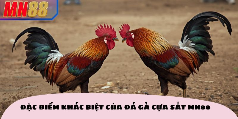 Đặc điểm khác biệt của đá gà cựa sắt MN88