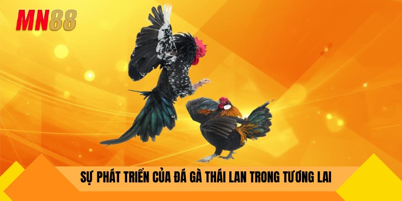 Sự phát triển của đá gà thái lan trong tương lại